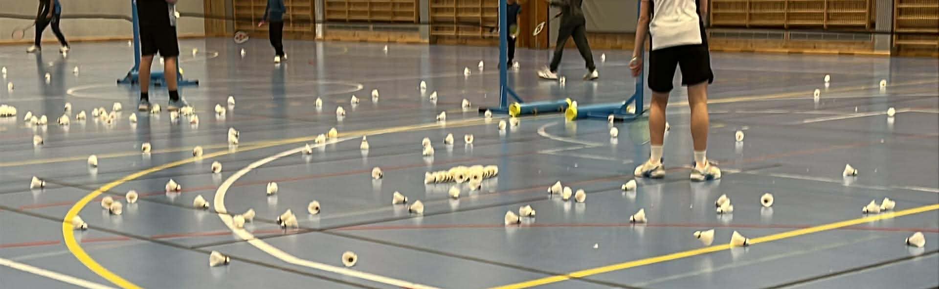 Badmintonballer