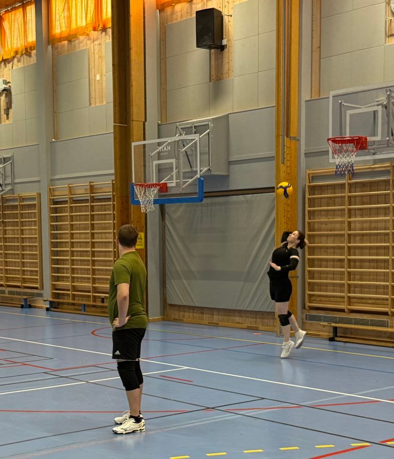 volleyball3