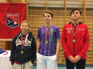 Trivelig kretsmesterskap 2018 på Haugerud