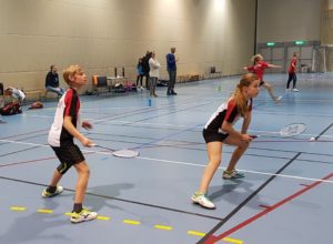 Meget positiv høstsesong for Haugerudlagene