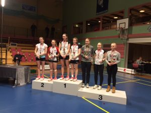 Fire medaljer og kongepokal til Haugerud under årets NM!